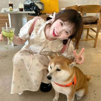 阳光普照2019